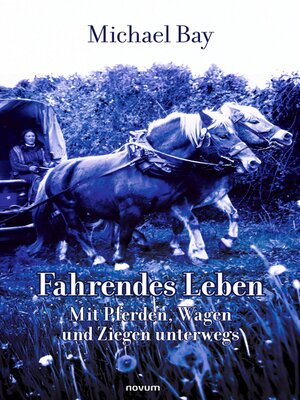 cover image of Fahrendes Leben